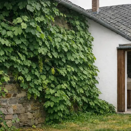 Nyaraló La Maison Raymond Ardennais Pour 12 Personnes *
